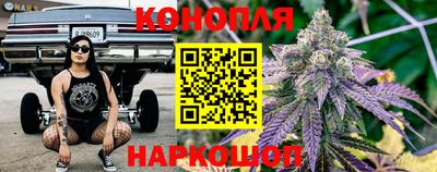 Альфа ПВП Пугачёв