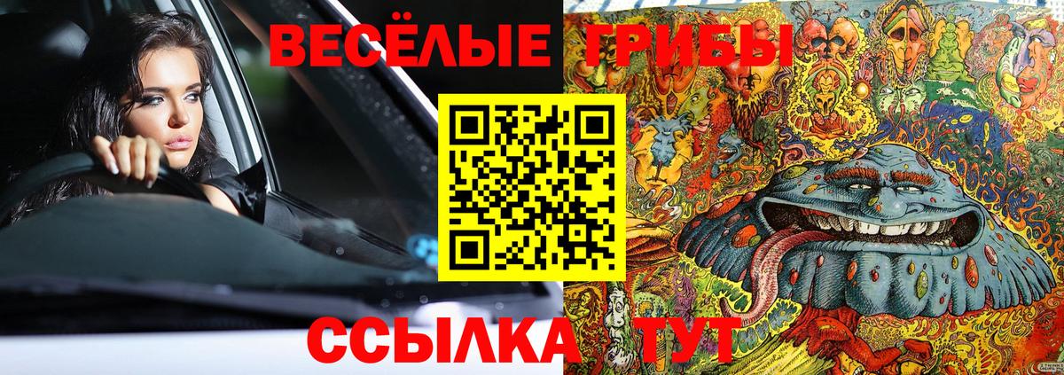 Галлюциногенные грибы Cubensis  Вход с VPN  закладка  Пенза 